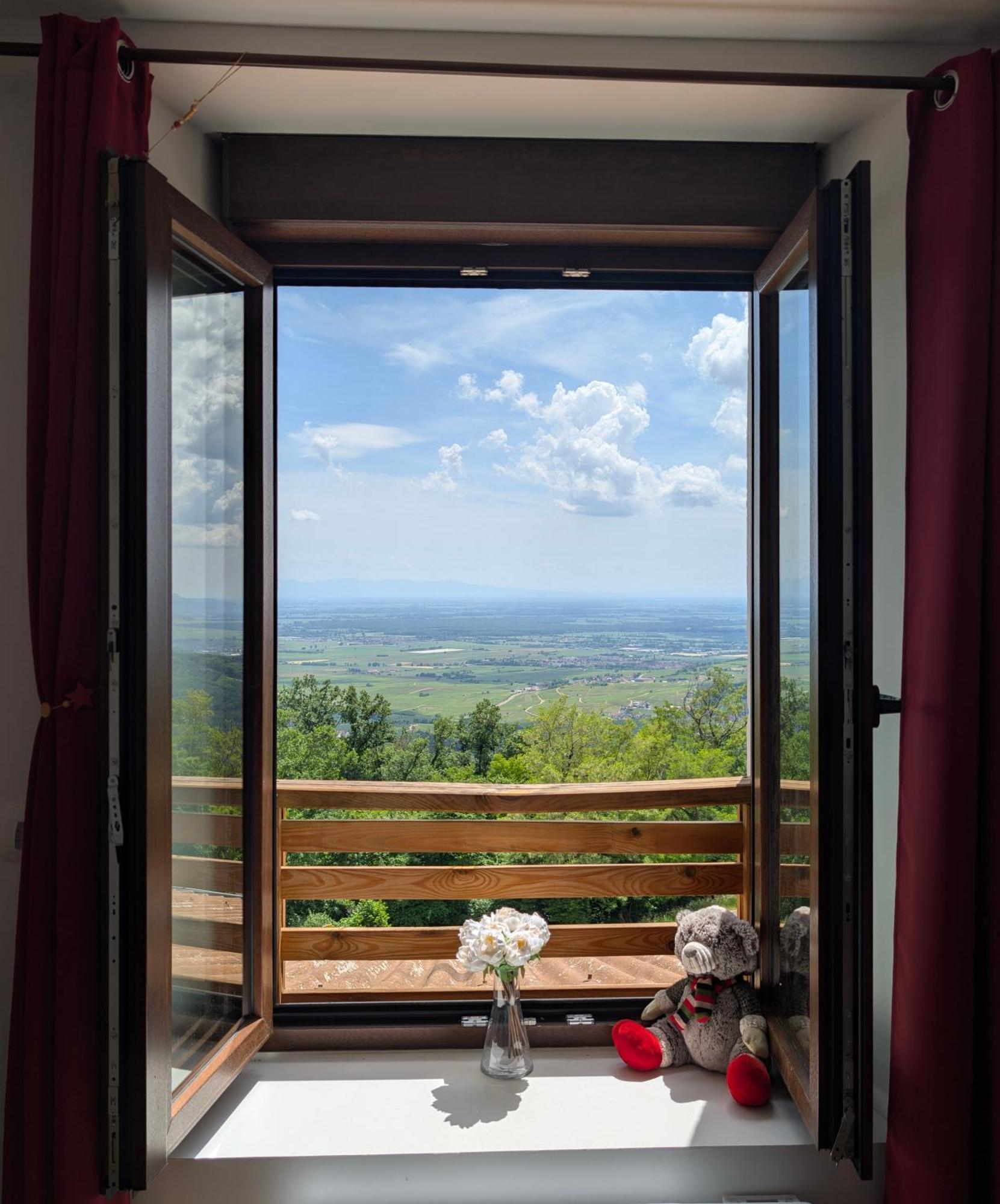 Domaine Du Haut-Koenigsbourg ออร์ชวิลแลร์ ภายนอก รูปภาพ