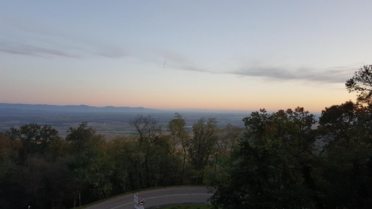 Domaine Du Haut-Koenigsbourg ออร์ชวิลแลร์ ภายนอก รูปภาพ